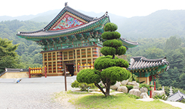 효심원 진주 백천사 2