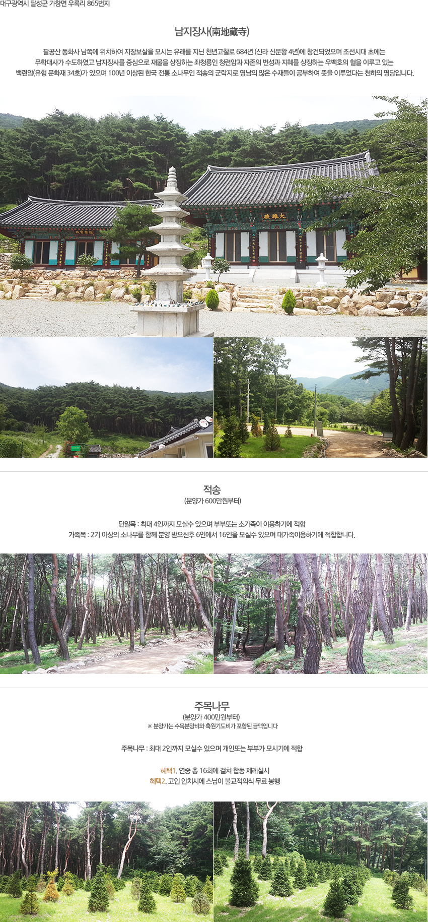 수목장이미지